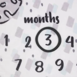 Disney Lion King Milestone Blanket 5 Disney Lion King Milestone Blanket -Disney GUEST 10cc56a5 efd9 422c a7e9 3f68573d8274