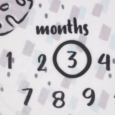 Disney Lion King Milestone Blanket 3 Disney Lion King Milestone Blanket - Image 3