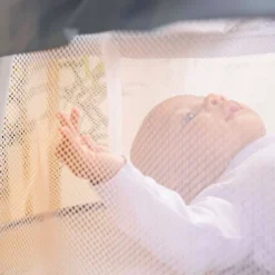 Bright Starts Disney Baby Winnie The Pooh Soothing Baby Bassinet - Slumber Party 17 Bright Starts Disney Baby Winnie The Pooh Soothing Baby Bassinet - Slumber Party -Disney GUEST 1a668770 99c0 4a74 a007 2fa3c4c493ce