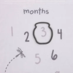 Disney Baby Classic Pooh Milestone Blanket -Disney GUEST 6dcf4956 b977 4ea7 82e7 22e1e03aac98