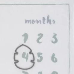 Disney Lion King Simba Super Soft Milestone Baby Blanket 7 Disney Lion King Simba Super Soft Milestone Baby Blanket -Disney GUEST c9e5ac9f 0fb6 4912 8b89 c46e7d0b3fe9