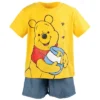 Disney Winnie The Pooh Baby Graphic T-Shirt And Shorts Outfit Set Infant